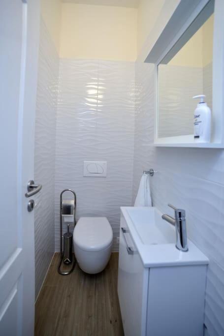 New Renovated Appartment Mauri 波雷奇 外观 照片